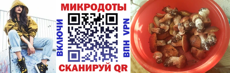 Купить закладки  Купино  Галлюциногенные грибы мицелий 