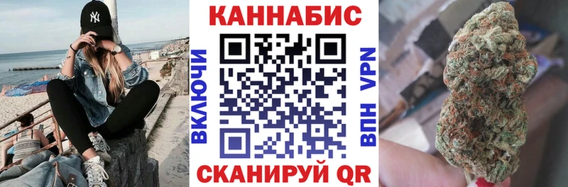 Купить где  Купино  Каннабис ГИДРОПОН 